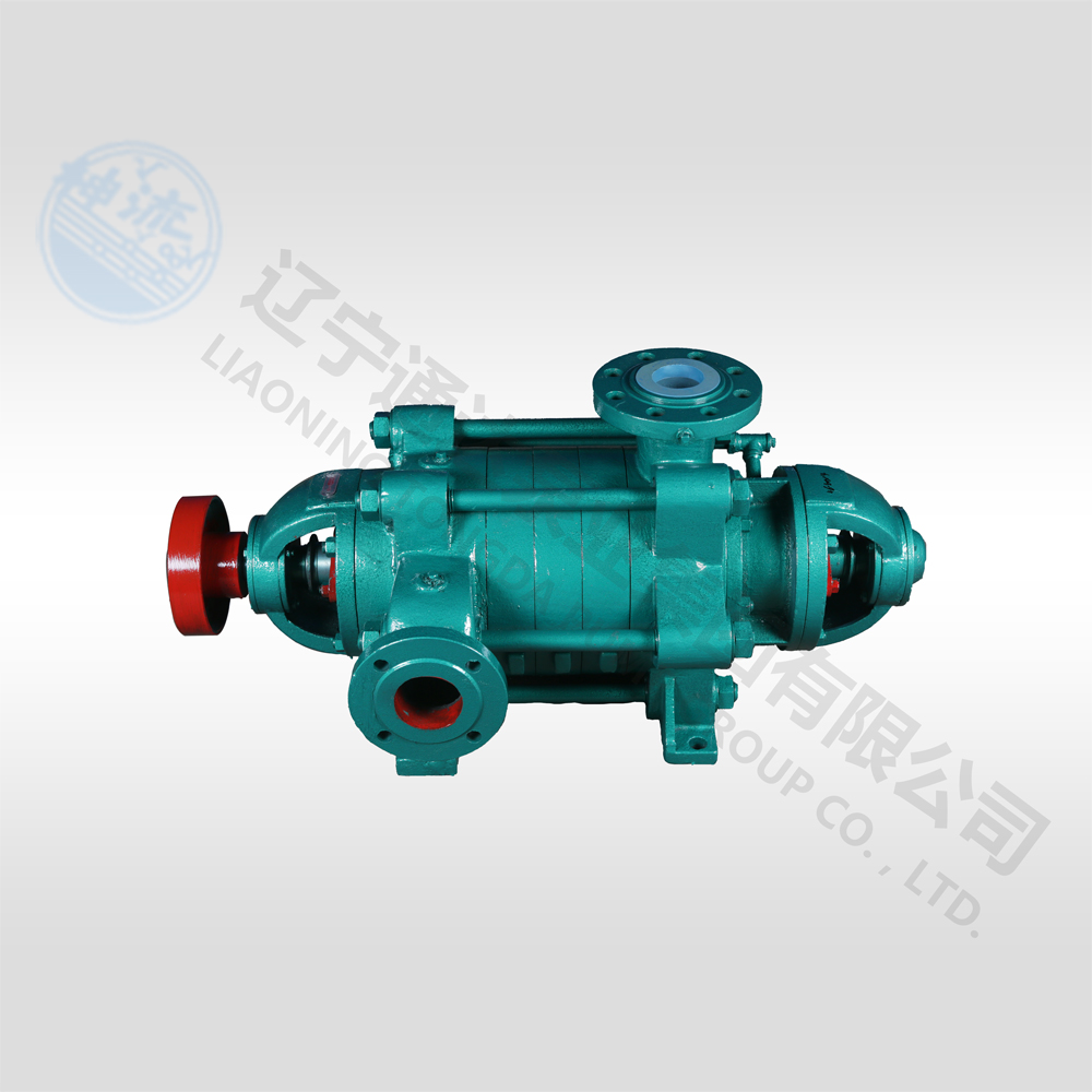 D型卧式多级离心中欧(中国)