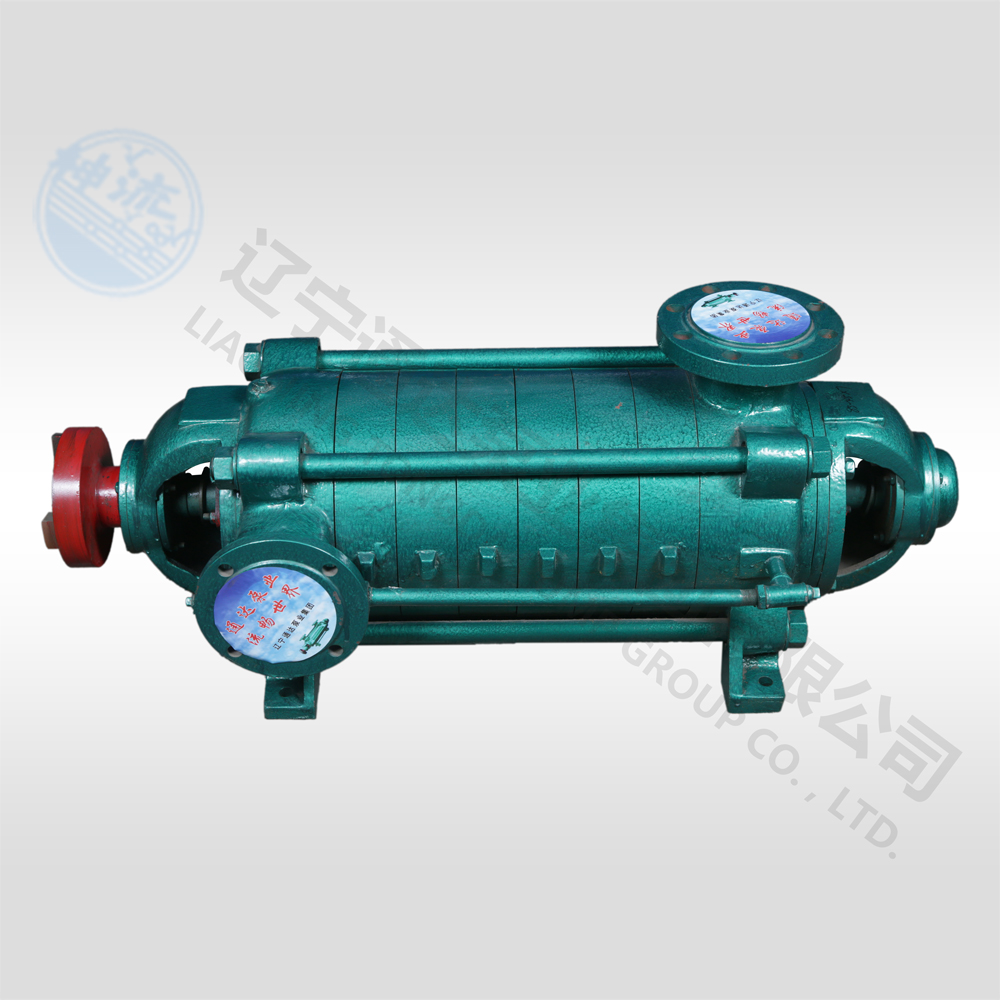 D型卧式多级离心中欧(中国)