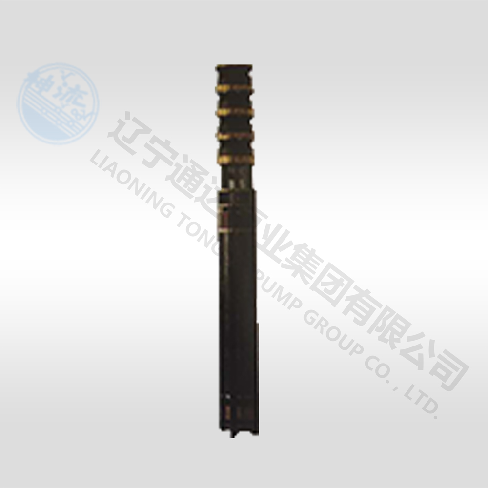 QJ系列潜水电中欧(中国)