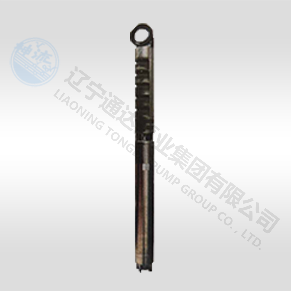 QJ系列潜水电中欧(中国)